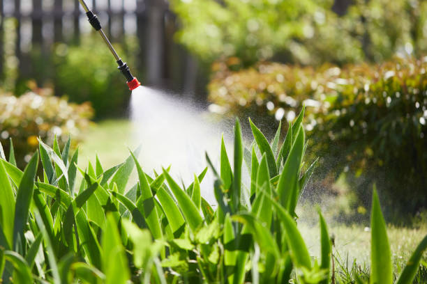 24/7 Emergency Termite Control experts in Selah, WA