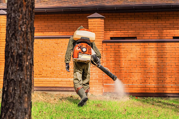 Top rated local Termite Control specialists in Selah, WA